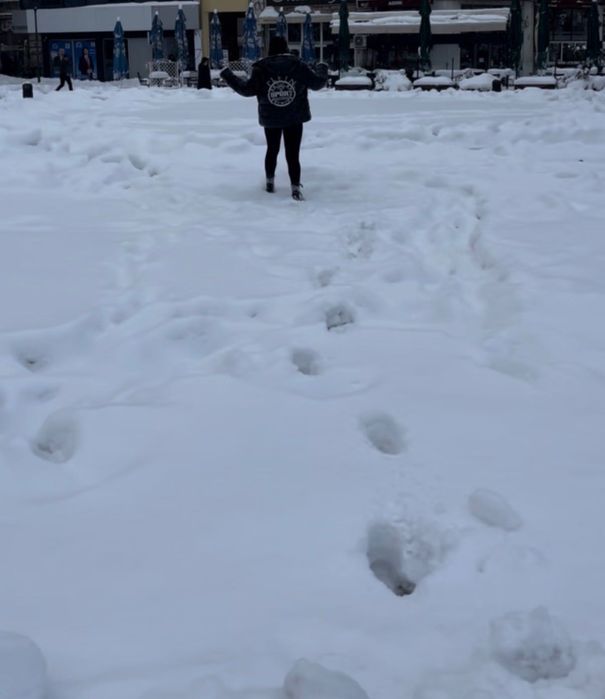 Зимно яке Plein Sport
