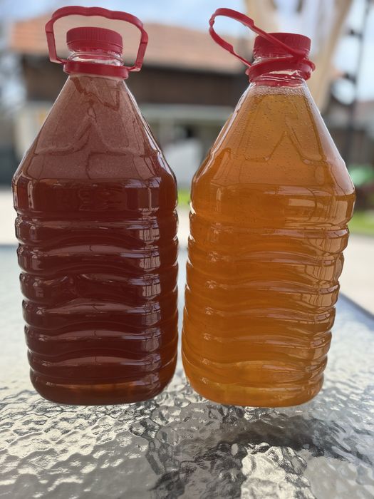 Vând miere poliflora cu mana si miere floarea soarelui