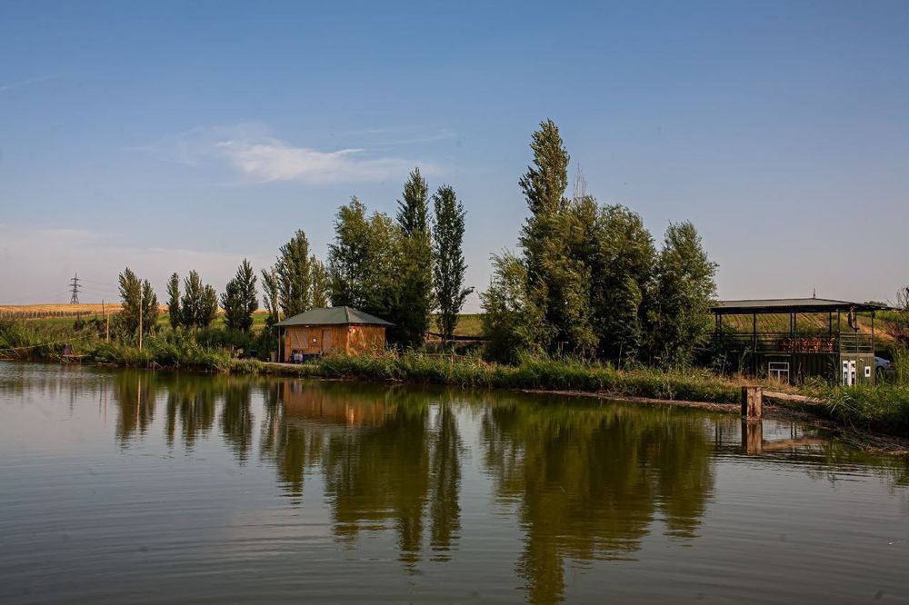 Семейный отдых и рыбалка