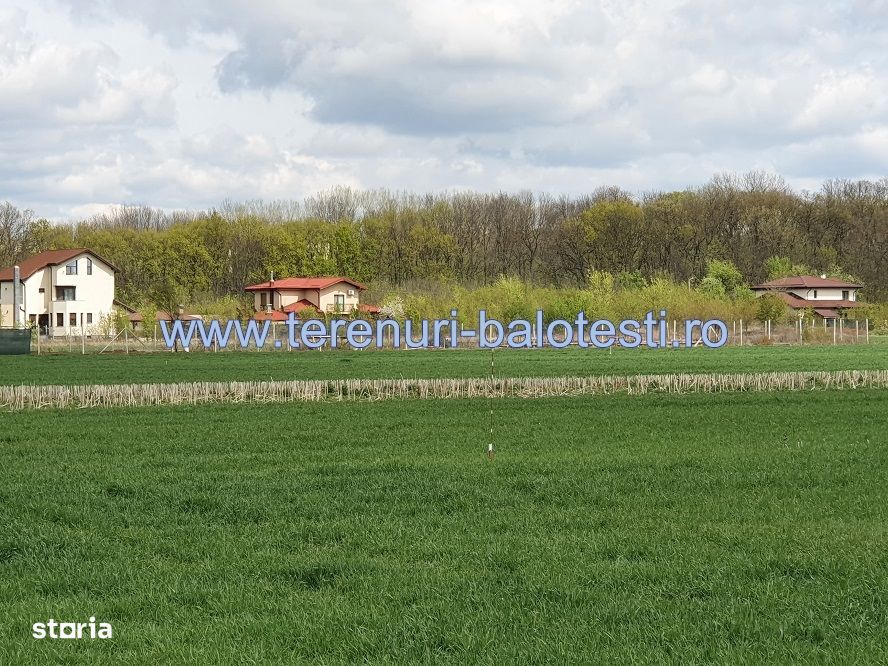 Vanzare teren langa padure,drum amenajat,case noi ,620 mp,26500 E