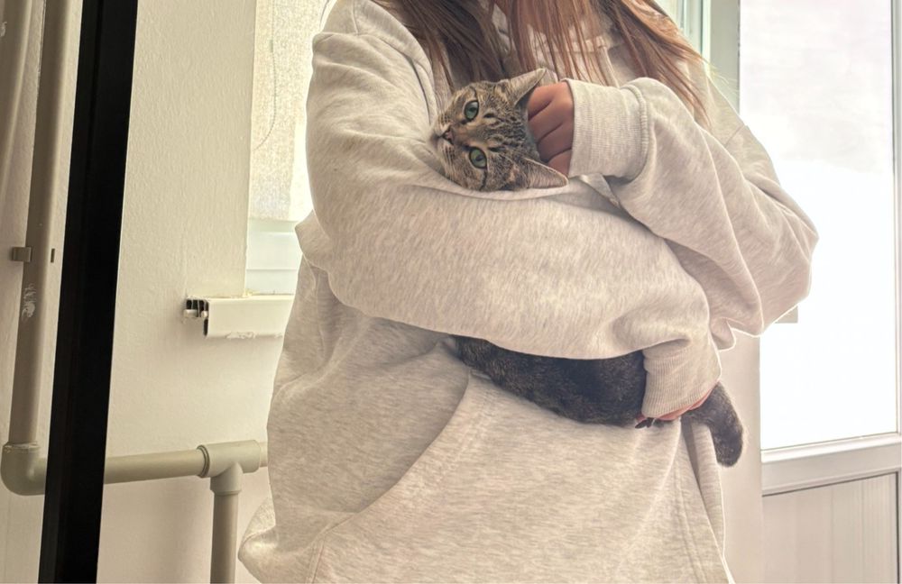 Актау! Кошка в добрые руки!