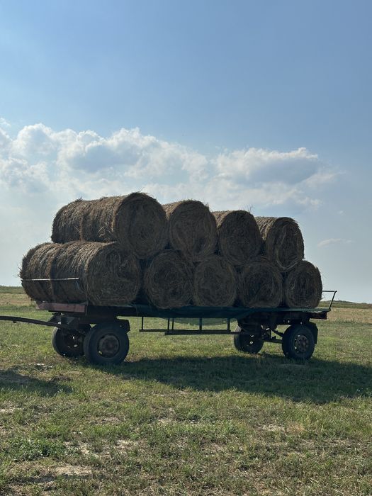 Baloti rotunzi si mici an 2025! Schimb cu berbecuți!