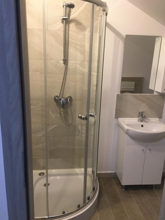 Apartament o camera de inchiriat in Dumbravita mansarda