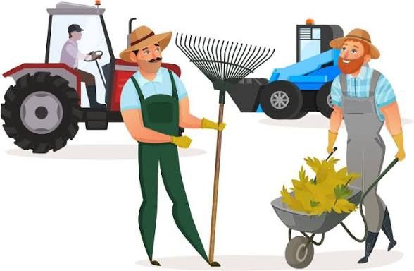 Уборка территории, спил деревьев