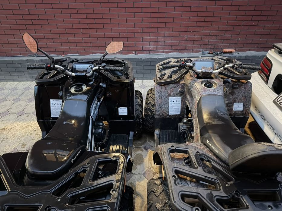 Квадроциклы Tao Motor 250куб