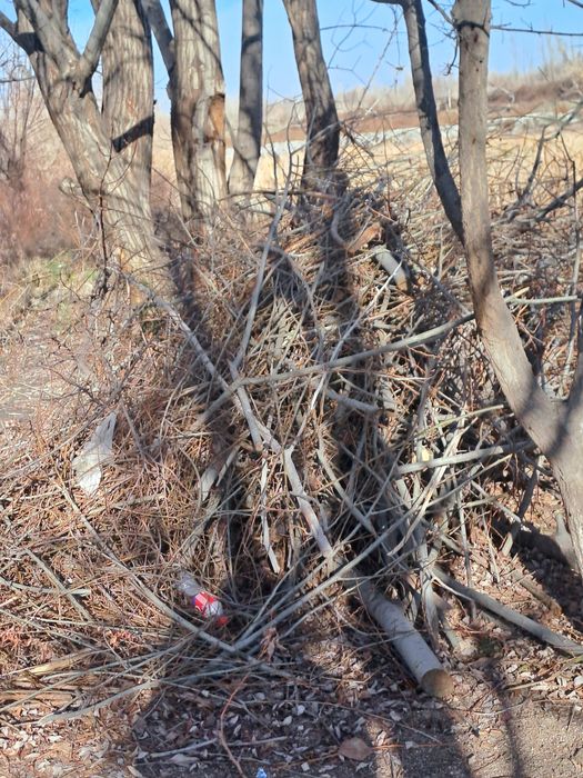 Дрова , утун бор 2 мошин чикади