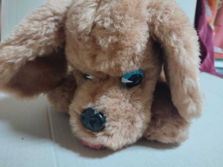 Catel din plus, culoare maro, SH dar stare buna.