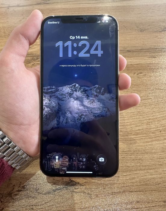 iPhone 12 Pro Max 256gb