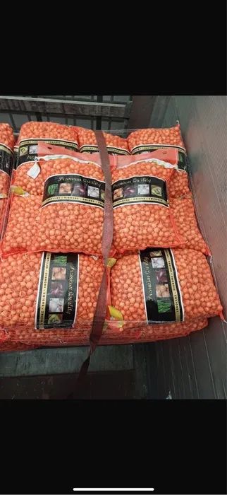 Vand arpagic stutgart