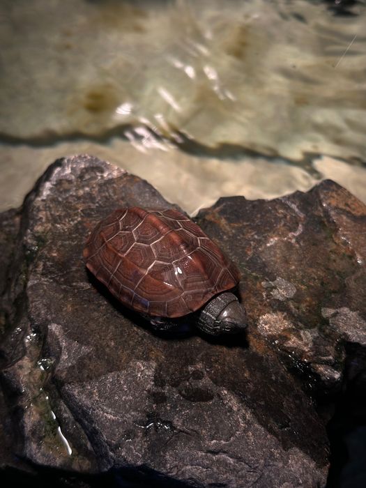 Аквариум 160 литров