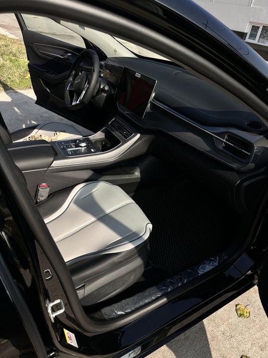 Byd Chazor (1позиция)