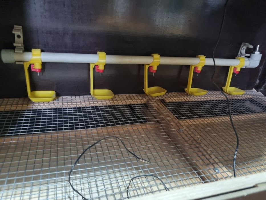 Брудер для птицы