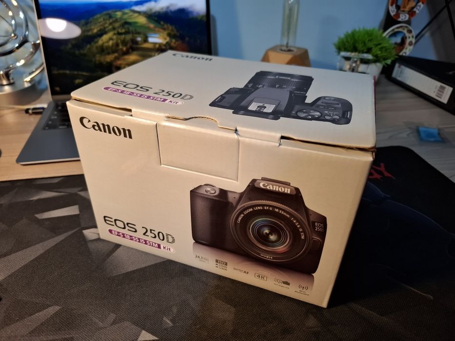 Canon 250D, professional kamera