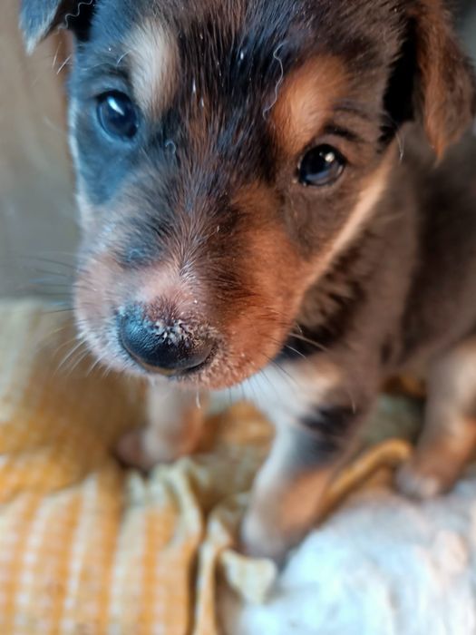 Ищут дом малыши, мальчики и девочки