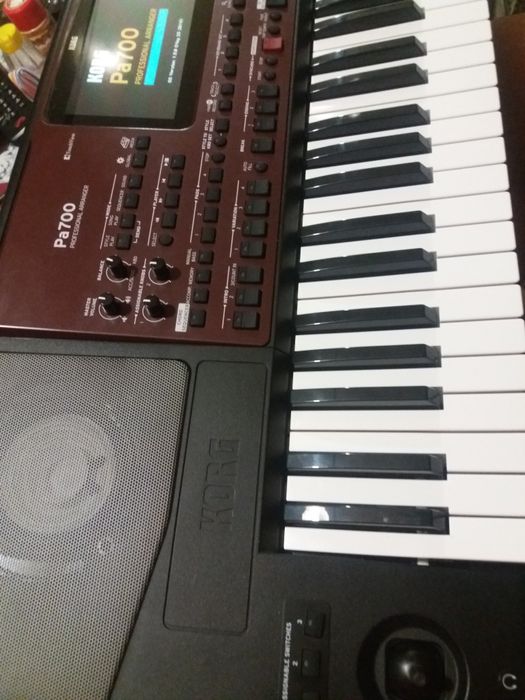*KORG Pa700 с MUSI/RADI set 2025