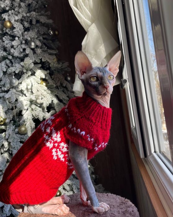 Вязаная одежда для кошек и собак