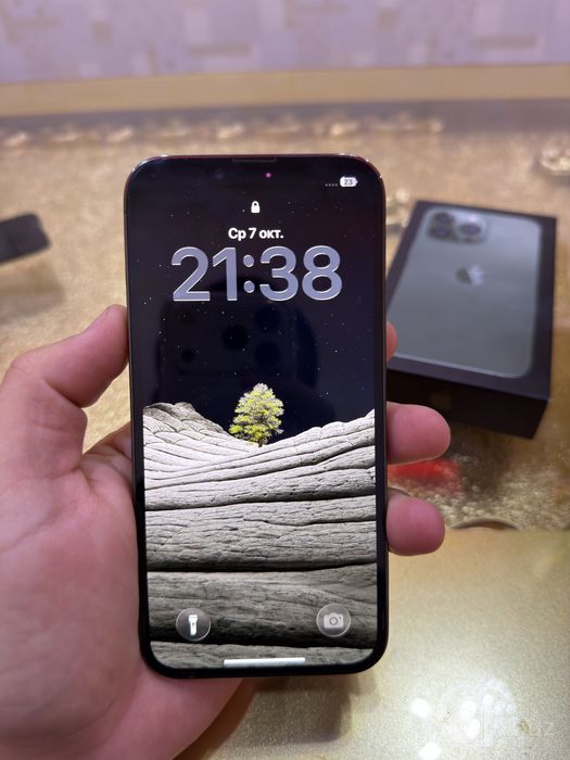 Iphone 13 pro ideal