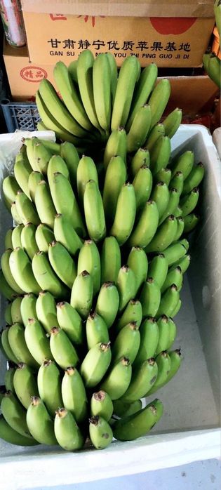 Banan ko’chat karalevskiy