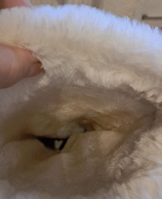 Cizme de iarna Bershka