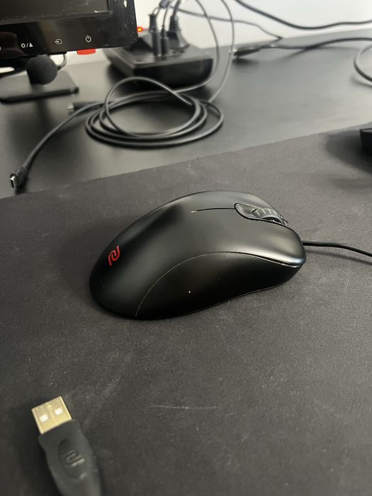 Mouse benq zowie ec2-c + bungee zowie