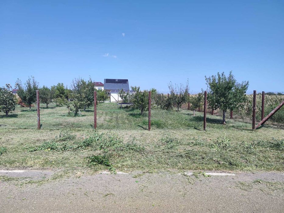 Teren intravilan 733 m², desch 22 m – str. Sportului (asfalt), Ulmi