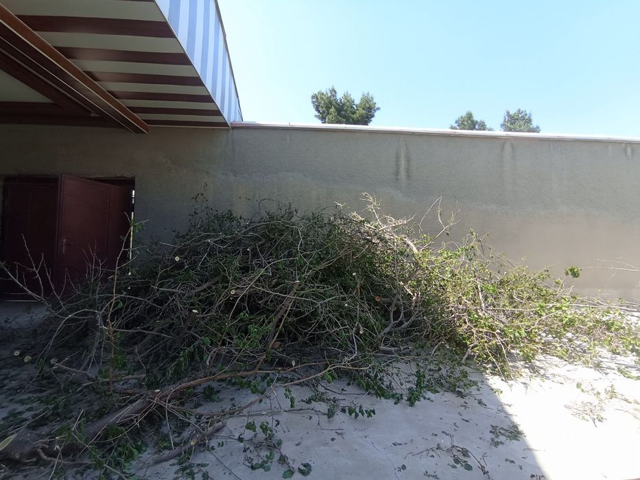 Õtin sotiladi hamsi