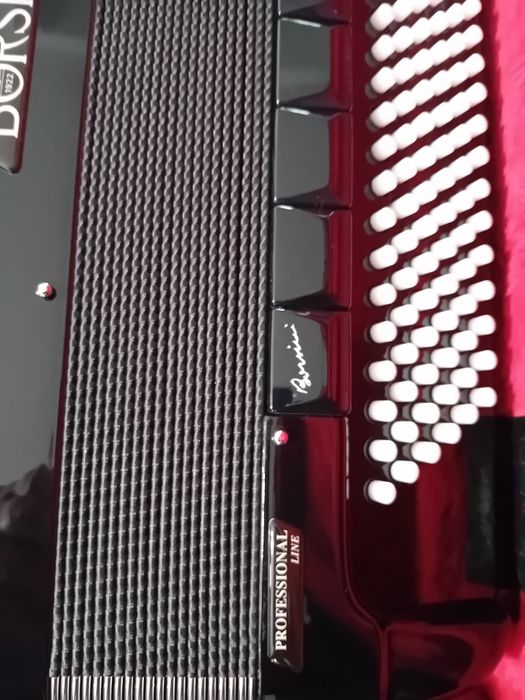 Vind Acordeon Borsini