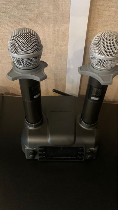 Караоке система Evolution Pro2 в комплекте