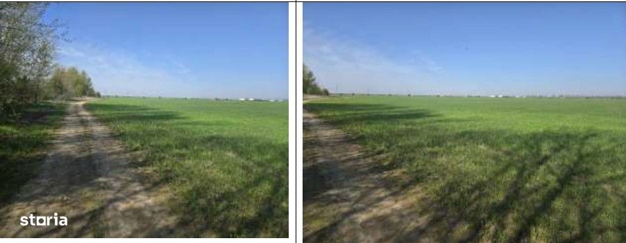 Casa si teren Darasti, ID: R3313254