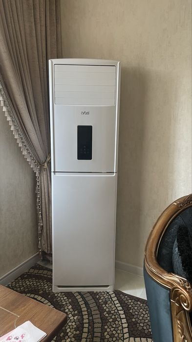 Artel 24 holati yangidey