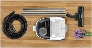 Пылесос Gorenje VC 1701 GACWCY, серебристый/черный