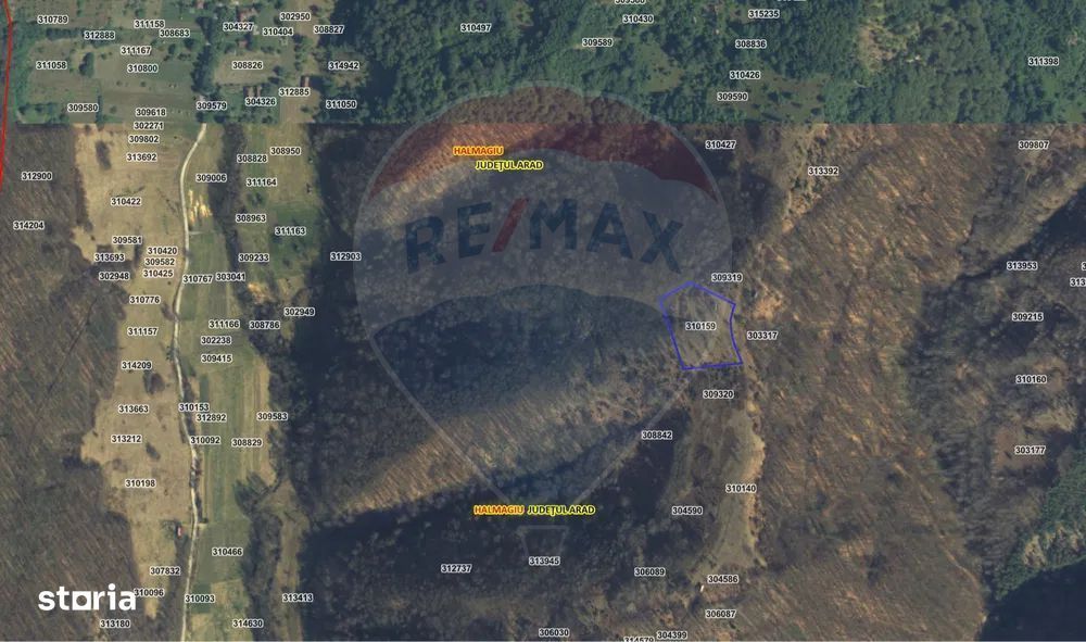 Teren pe deal cu vedere panoramica Halmagiu - Sat Brusturi