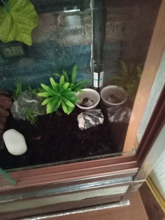 Террариум Террариум