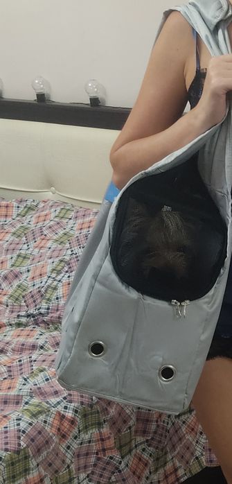 Продам сумку переноску для собаки,