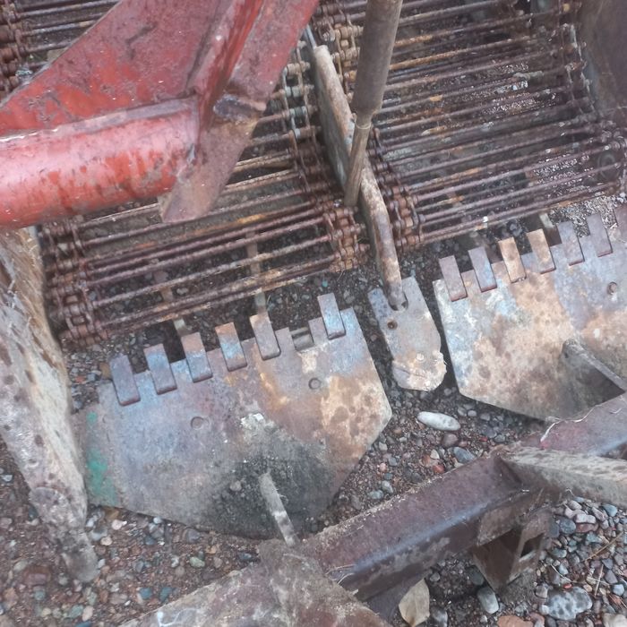 Kartoshka kólidigan sotiladi