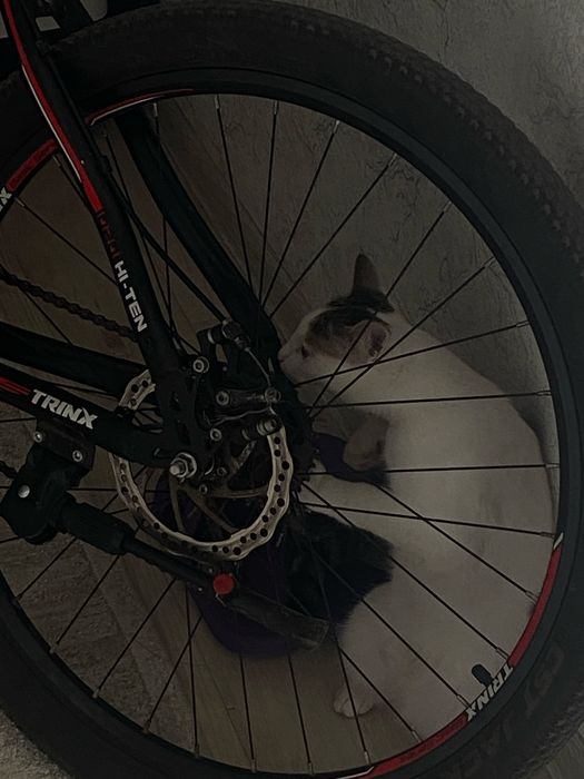 Продам Велосипед TRINX