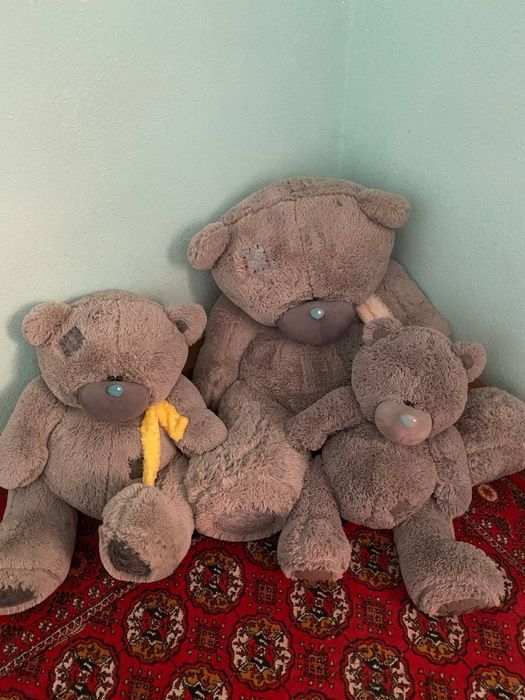 Ayiqlar sotiladi hammasi yangi