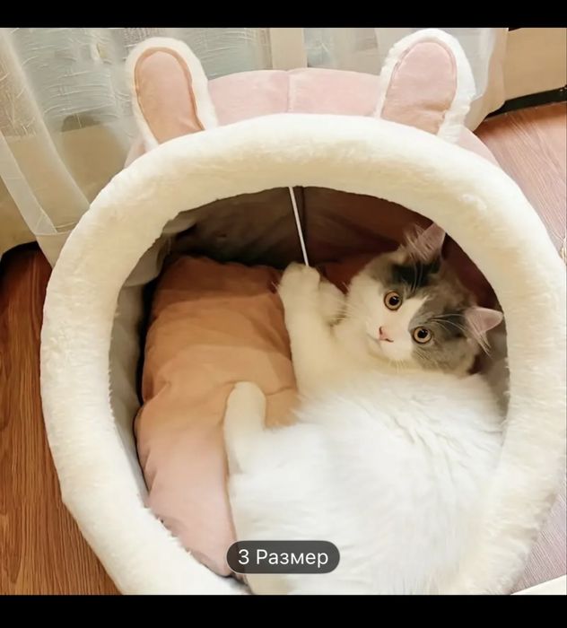 Домик для  кошек и котов