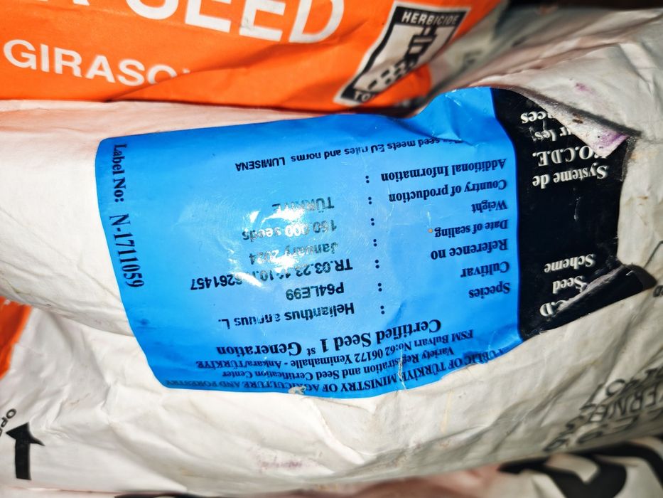 Sămânța floarea-soarelui pionier