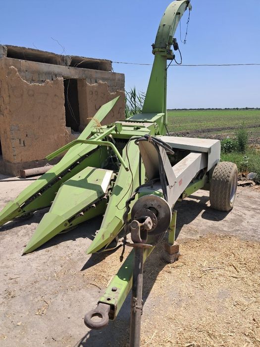 Kulpartura makkajoʻxori oʻradigan