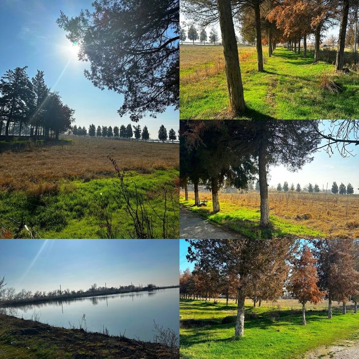 Очень срочно Продаётся территория 4,5 Га Сурум 1200 за сотку