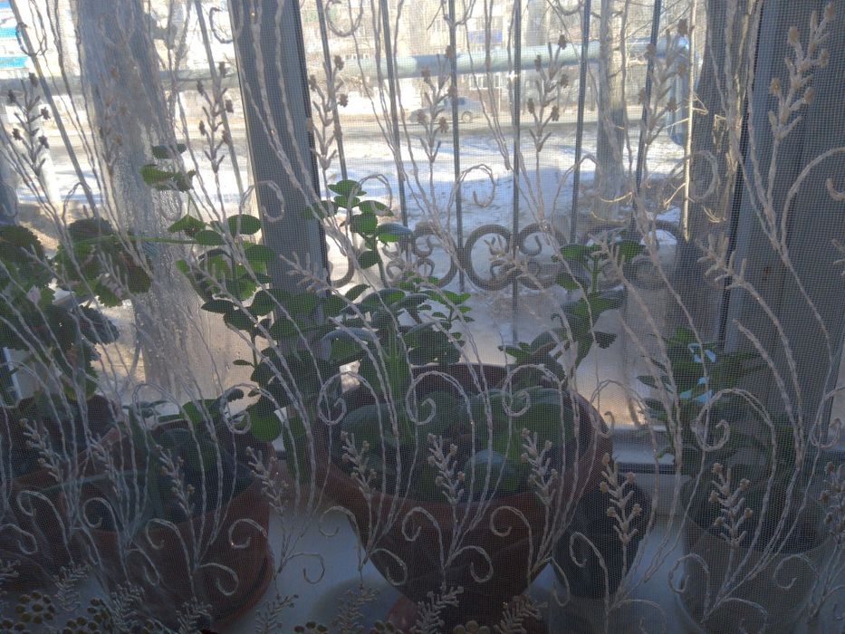 Продам общежитие.Ремзавод.