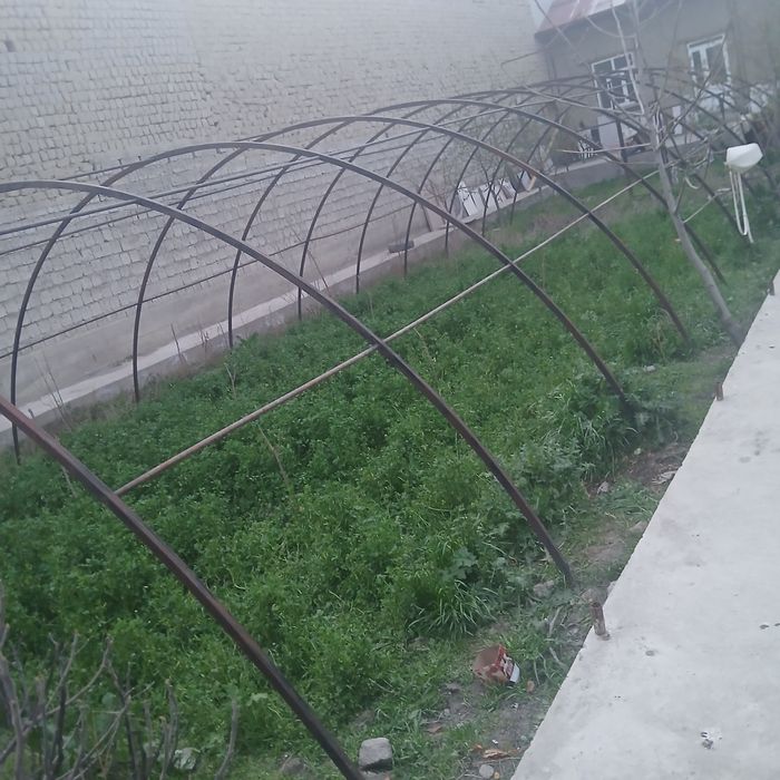 Parnik. Teplisa. Kulyonkasi yo‘q