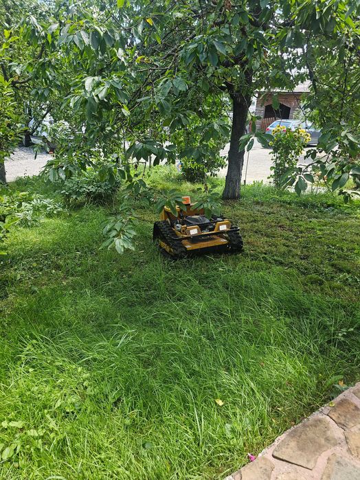 Prestari servicii curatare terenuri