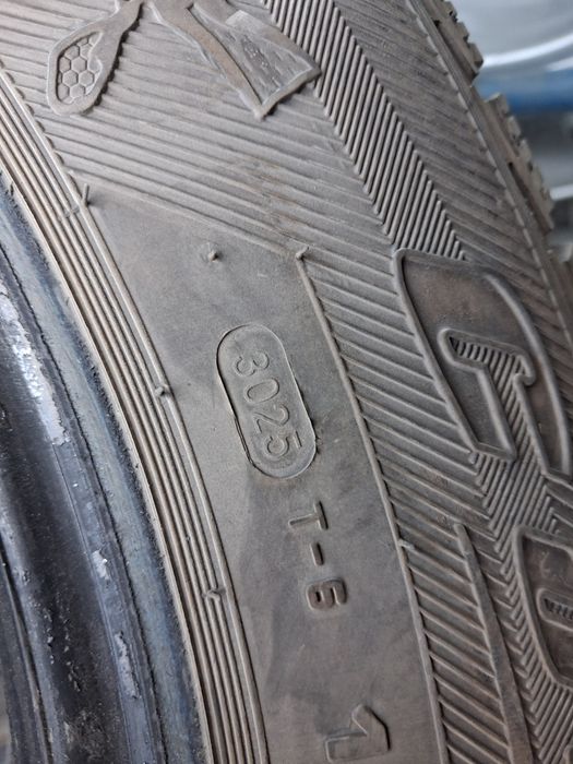 195 65 r 15 zimniy holatinideal