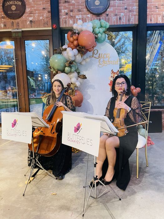 Cafe concert / primirea invitatilor / cvartet/duo/ evenimente