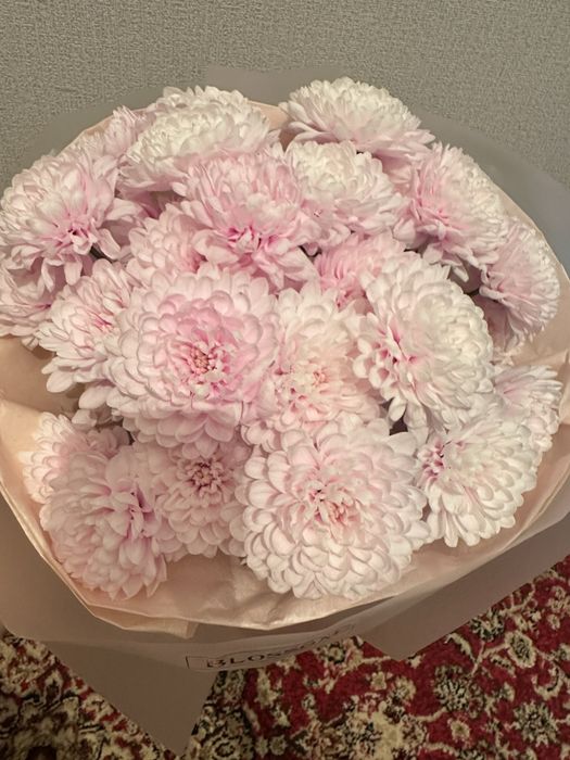 Цветы свежие красивые