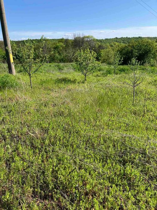 Продава се Парцел в с. Стамболийски, Област Хасково - 2113 кв.м за 10 €/кв.м - Снимка #8