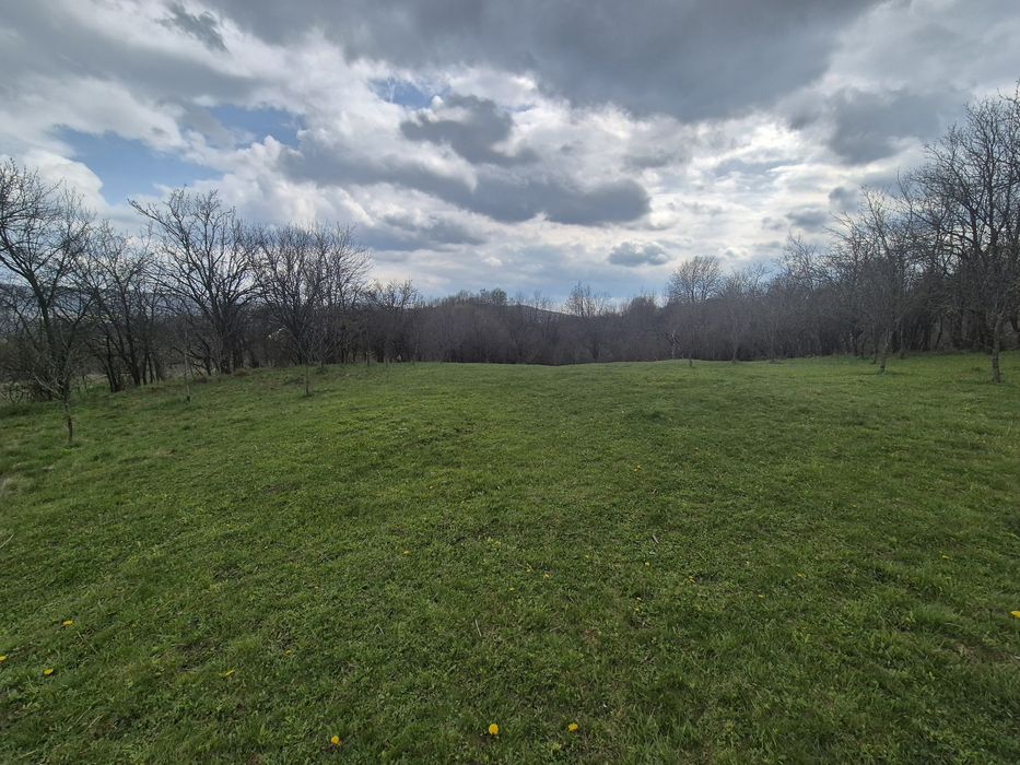 TEREN INTRAVILAN + AUTORIZAȚIE + LIVADĂ – 4.663 mp – Drajna, Făget, Prahova