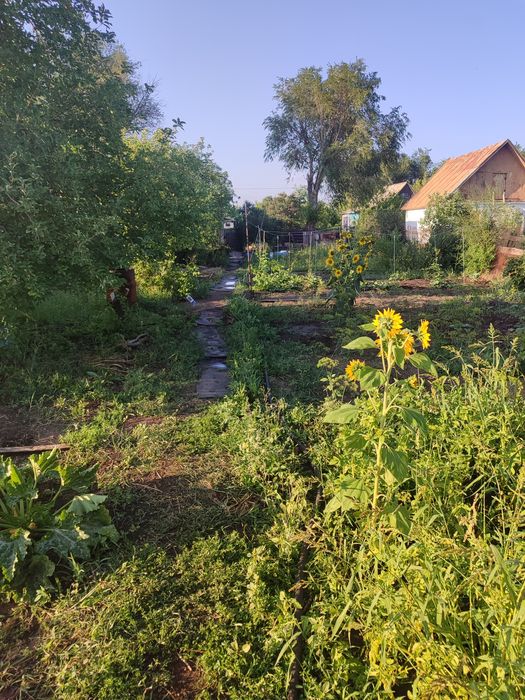 Дача До Алма Темиртау